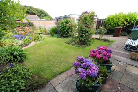 garden 4.JPG