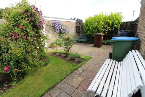 garden 6.JPG