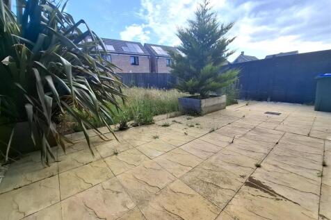 garden 1.jpg