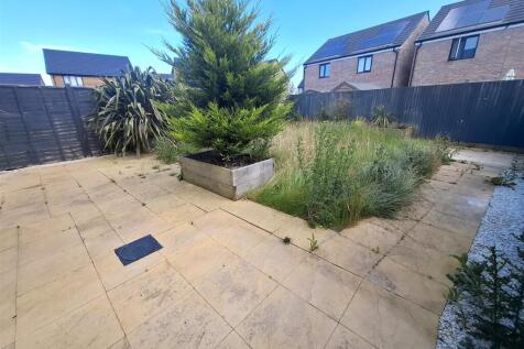 garden 3.jpg