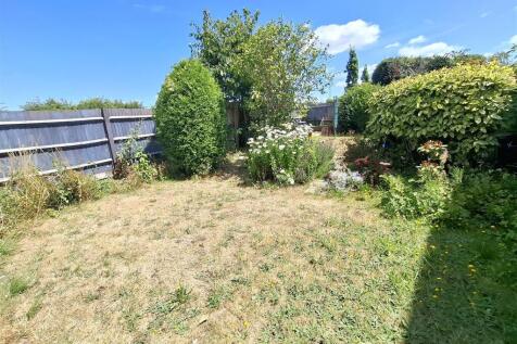 Garden .jpg