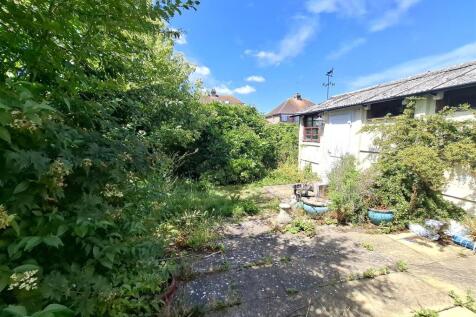 Garden .jpg