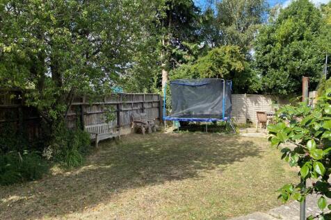 garden 4.jpg