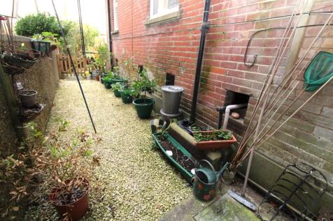 Rear Courtyard.JPG