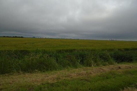 View from the pro...