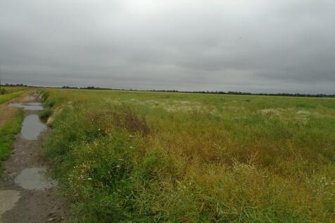 View from the pro...