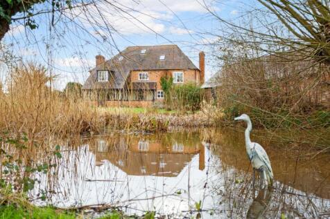 Pond