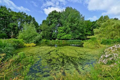 Pond
