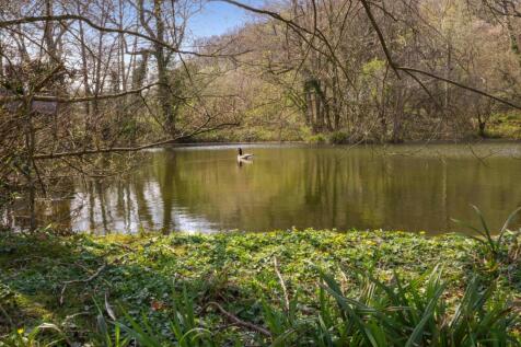 Pond