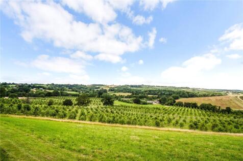 Countryside Views