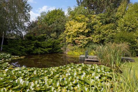Garden Pond