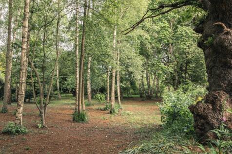 Property Image 35