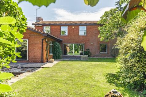 Property Image 23