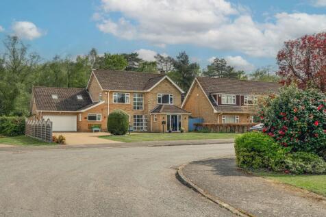 Property Image 23