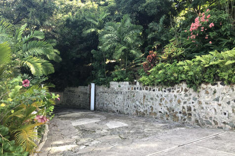 Image 13