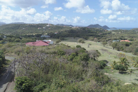 Image 13