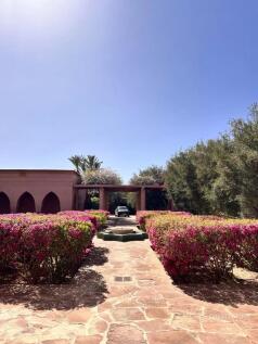 Image 15