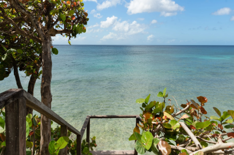 Image 15