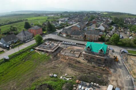 The Development