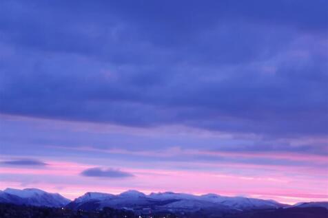 OWNER&#39;S COMMENTS