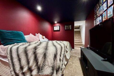 Basement/Cinema Room