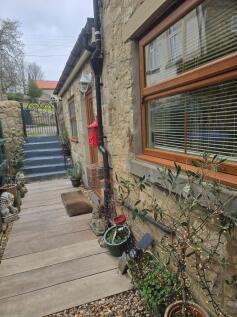 Rear Courtyard Garden