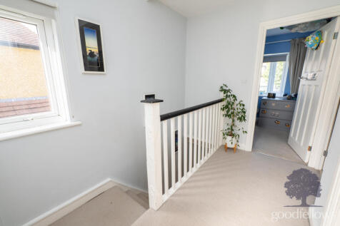 Picture 13