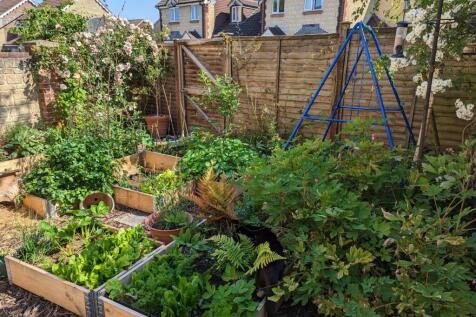 Property Image 12