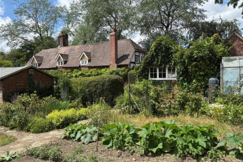 Vegetable Patch