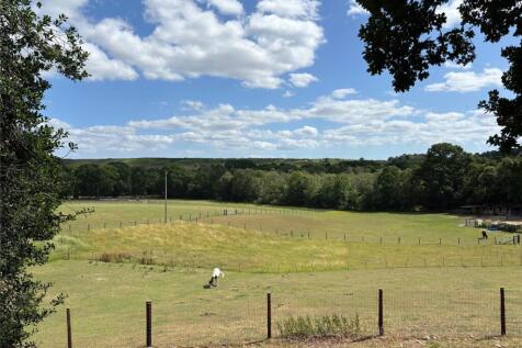 View From Garden