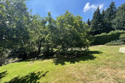 Lawn