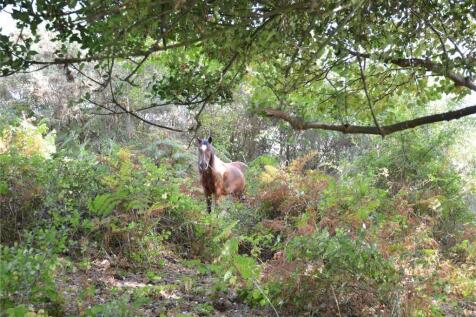 30 Metres From House