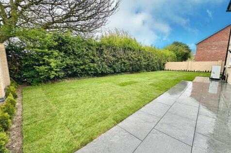 rear garden.jpg