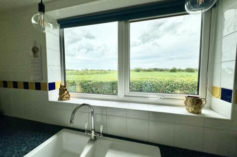 kitchen sink view.JPEG