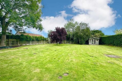 garden lawn