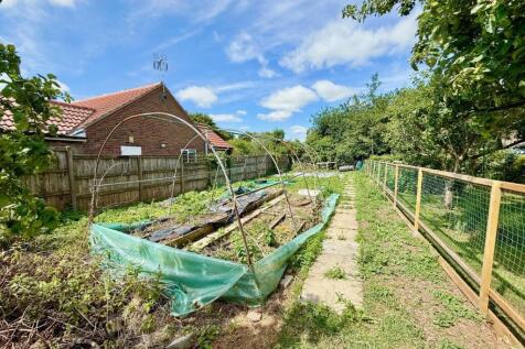 Garden (1).jpg