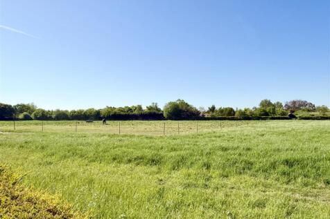 neighbouring paddock