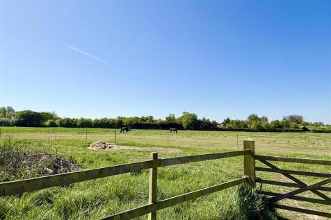 views over neigbouring paddock