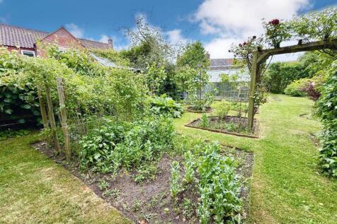 veg garden
