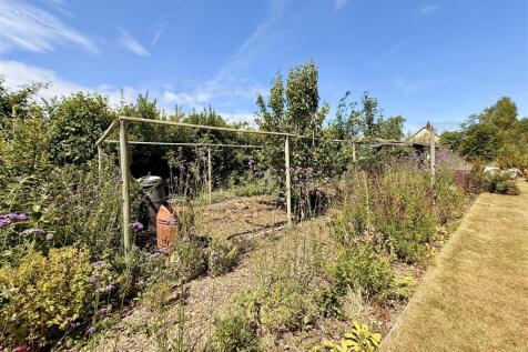 fruit and veg garden