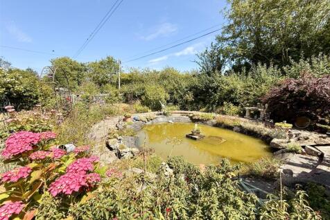garden pond