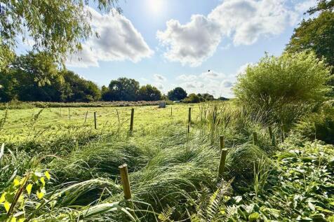 views beyond the garden