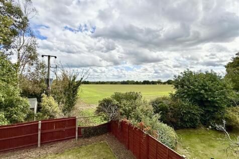 view beyond garden
