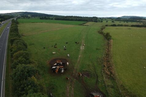 DJI_2150.JPG