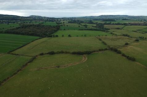 DJI_2156.JPG