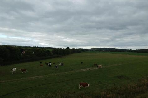 DJI_2159.JPG