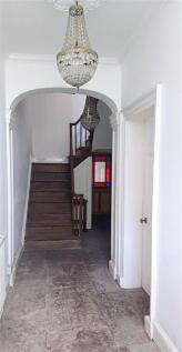 20250429_140520.jpg