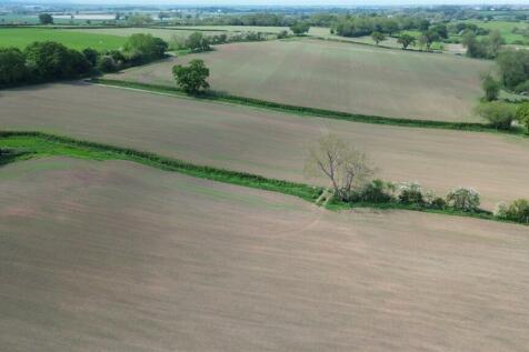 DJI_0533.JPG