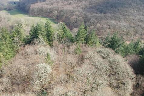 GROUNDS AND WOODLAND