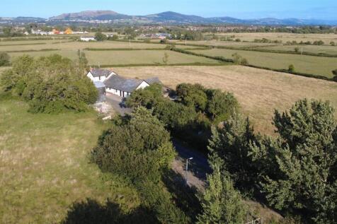 DJI_0162.JPG